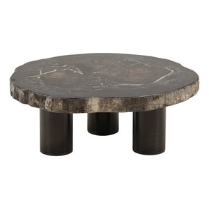 Karina Living Darnell Coffee Table - Unique Natural Petrified Wood & Sleek Black Metal Base for Modern Spaces DOV22030-NABK-SM