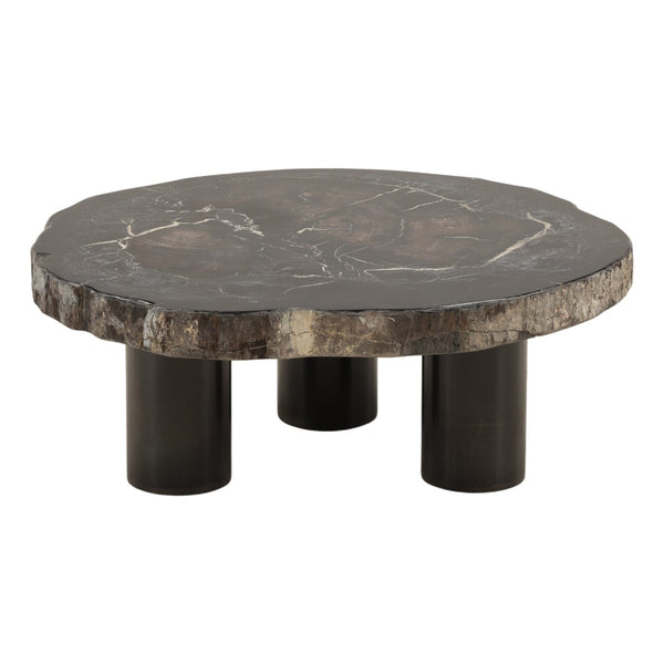 Karina Living Darnell Coffee Table - Unique Natural Petrified Wood & Sleek Black Metal Base for Modern Spaces DOV22030-NABK-SM