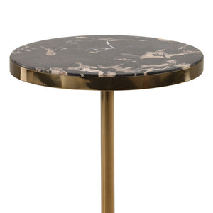 Karina Living Neve Side Table - Unique Petrified Wood & Brass-Accented Stainless Steel for Modern Elegance DOV22065-BLCK