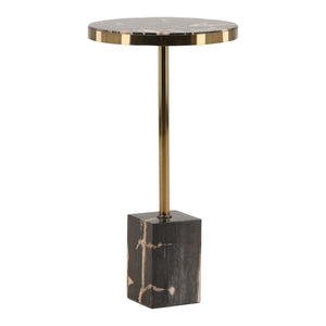 Karina Living Neve Side Table - Unique Petrified Wood & Brass-Accented Stainless Steel for Modern Elegance DOV22065-BLCK