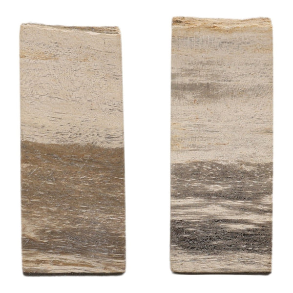 Karina Living Pedroso Natural Petrified Wood Bookend Set of 2 – Unique, Elegant, and Stylish Home Décor Accent DOV22067-NATL