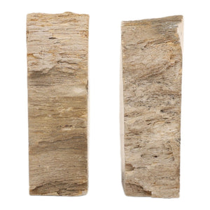 Karina Living Pedroso Natural Petrified Wood Bookend Set of 2 – Unique, Elegant, and Stylish Home Décor Accent DOV22067-NATL