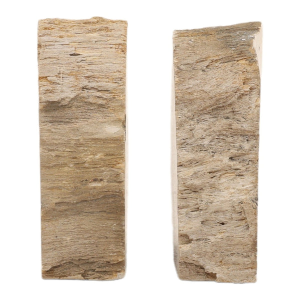 Karina Living Pedroso Natural Petrified Wood Bookend Set of 2 – Unique, Elegant, and Stylish Home Décor Accent DOV22067-NATL