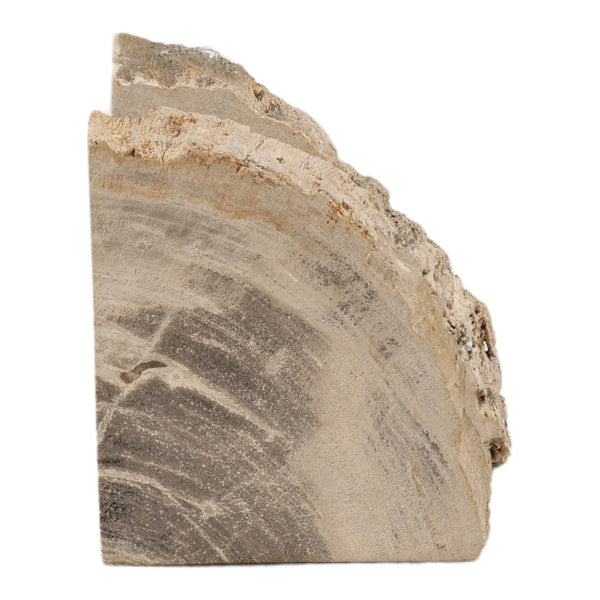 Karina Living Pedroso Natural Petrified Wood Bookend Set of 2 – Unique, Elegant, and Stylish Home Décor Accent DOV22067-NATL