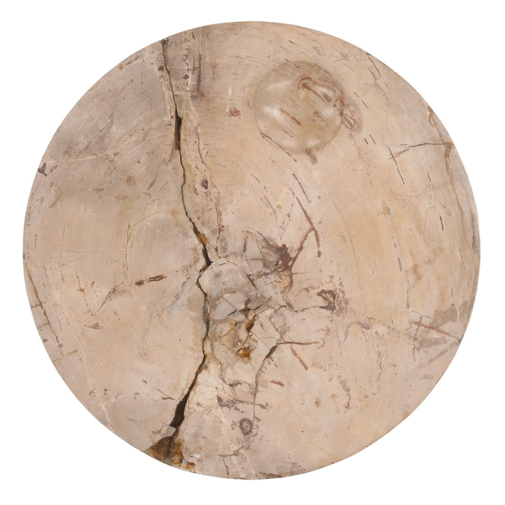 Karina Living Brittany Large Natural Coffee Table - Handcrafted Petrified Wood with Unique Character & Style DOV22068-NATL-LG