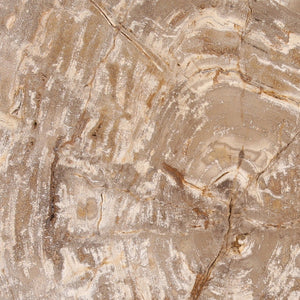 Karina Living Brittany Coffee Table - Handcrafted Petrified Wood with Natural Finish for Unique Rustic Elegance DOV22068-NATL-SM