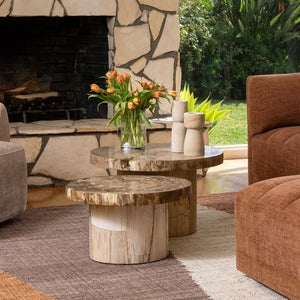 Karina Living Brittany Coffee Table - Handcrafted Petrified Wood with Natural Finish for Unique Rustic Elegance DOV22068-NATL-SM