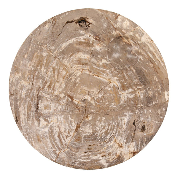 Karina Living Brittany Coffee Table - Handcrafted Petrified Wood with Natural Finish for Unique Rustic Elegance DOV22068-NATL-SM