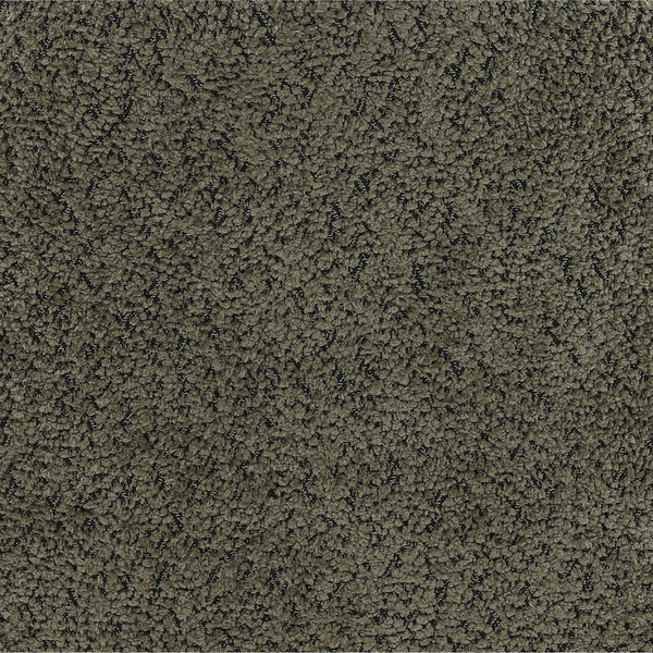 Dovetail Cathey Dining Chair Set of 2 Olive Olive Boucle Upholstery and Iron DOV23014-OLIV