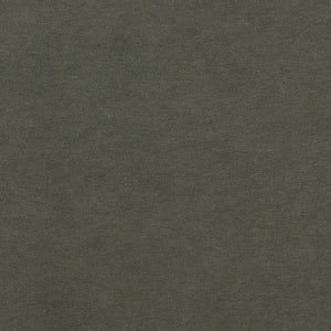 Karina Living Elissa Plush Velvet Occasional Chair in Opal Eucalyptus - Modern Elegance for Any Space DOV79040-GREN