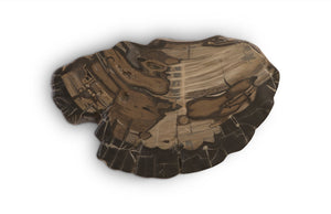 Phillips Collection Cast Petrified Wood Wall Tile - Durable, Nature-inspired Design For Stunning Modern Interiors Brown,Gray Resin Ph94505