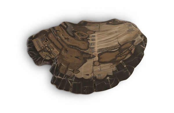Phillips Collection Cast Petrified Wood Wall Tile - Durable, Nature-inspired Design For Stunning Modern Interiors Brown,Gray Resin Ph94505