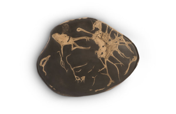 Phillips Collection Cast Petrified Wood Wall Tile - Durable, Nature-inspired Design For Stunning Modern Interiors Gray,Brown Resin Ph94507