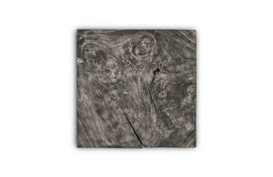 Phillips Collection Freeform Wall Tile - Unique Chamcha Wood Art Piece, Perfect For Modern Organic Décor Solutions Gray,Brown Wood ,Chamcha Wood Th82455