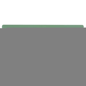 Safavieh Haven 2-drawer Wood Desk - Elevate Your Home Office With Style, Functionality, And Natural Elegance Sage Green Wood Dsk5715d