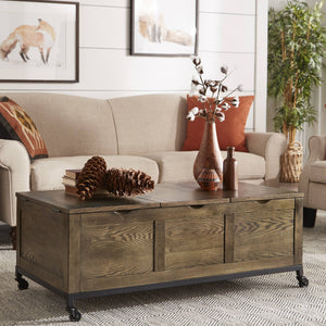 Wynn Oak Tone Rectangular Trunk Coffee Table with Storage and Casters