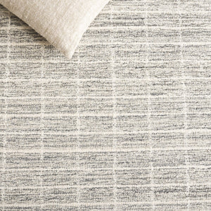 Safavieh Ebony Luxurious Modern Elegance Runner Rug In Soft Ivory And Beige For Timeless Home Décor Grey ,Ivory 85% Wool,15% Cotton Ebn139g-29