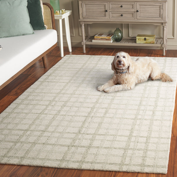 Safavieh Ebony Hand-Tufted Sage Ivory Area Rug 8X10 – Wool-Cotton Low Pile, Subtle Checkered Scandinavian Style 2'-3" x 7'-0" EBN141W-27