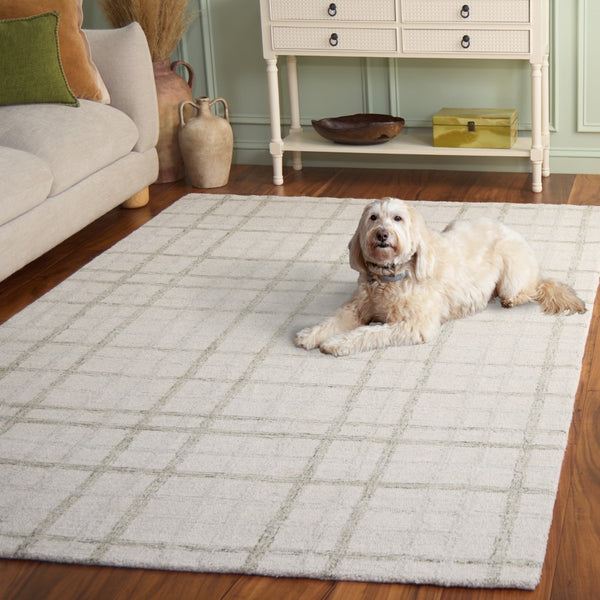 Safavieh Ebony Hand-tufted Area Rug - Luxurious Wool & Cotton Blend For Stylish Comfort In Any Space Sage ,Ivory 85% Wool,15% Cotton Ebn141w-3