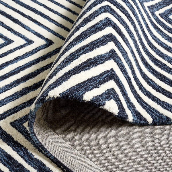 Safavieh Ebony 150 EBN150 Hand Tufted  Rug Navy / Ivory EBN150N-6