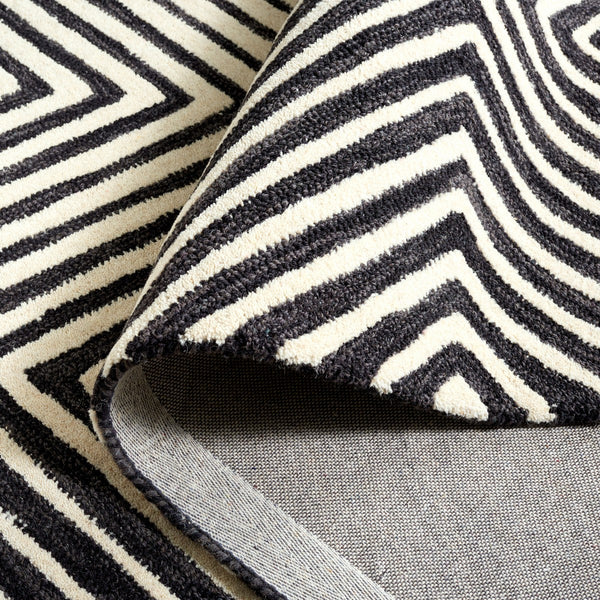 Safavieh Ebony 150 EBN150 Hand Tufted  Rug Black / Ivory EBN150Z-6