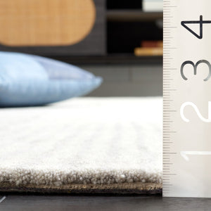 Safavieh Ebony 253 EBN253 Hand Tufted Modern Rug Beige / Grey EBN253G-8