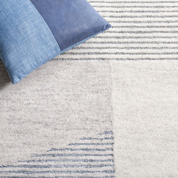 Safavieh Ebony 253 EBN253 Hand Tufted Modern Rug Beige / Grey EBN253G-8