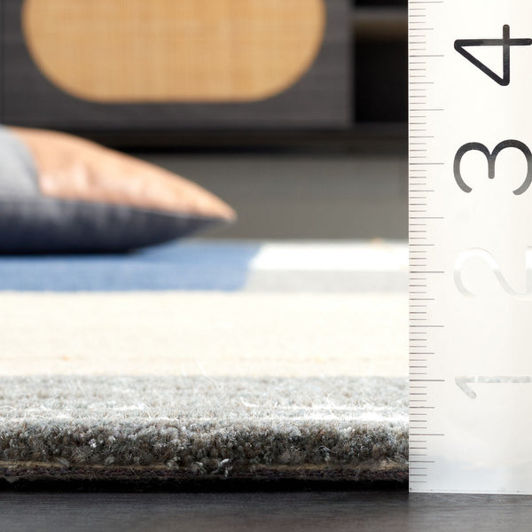 Safavieh Ebony 254 Hand Tufted MODERN Rug EBN254M-6