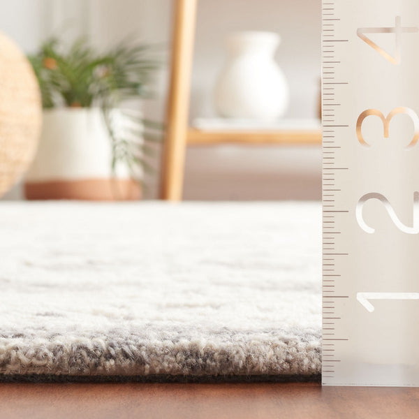 Safavieh Ebony 302 EBN302 Hand Tufted  Rug Ivory / Grey EBN302F-8