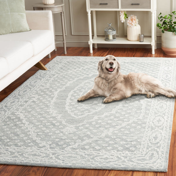 Safavieh Ebony 306 EBN306 Hand Tufted  Rug Ivory / Grey EBN306F-8