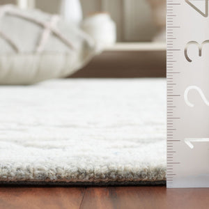 Safavieh Ebony 311 Hand Tufted  Rug EBN311F-6