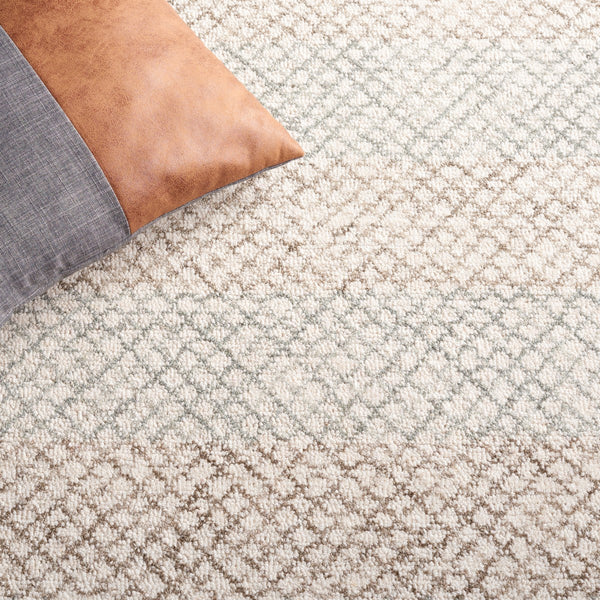 Safavieh Ebony 352 EBN352 Hand Tufted  Rug Ivory / Beige EBN352B-8