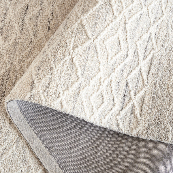 Safavieh Ebony 356 EBN356 Hand Tufted  Rug Light Grey / Ivory EBN356F-8