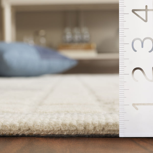 Safavieh Ebony 375a Ivory Grey Ivory ,Grey 80% Wool,20% Cotton Ebn375a-5