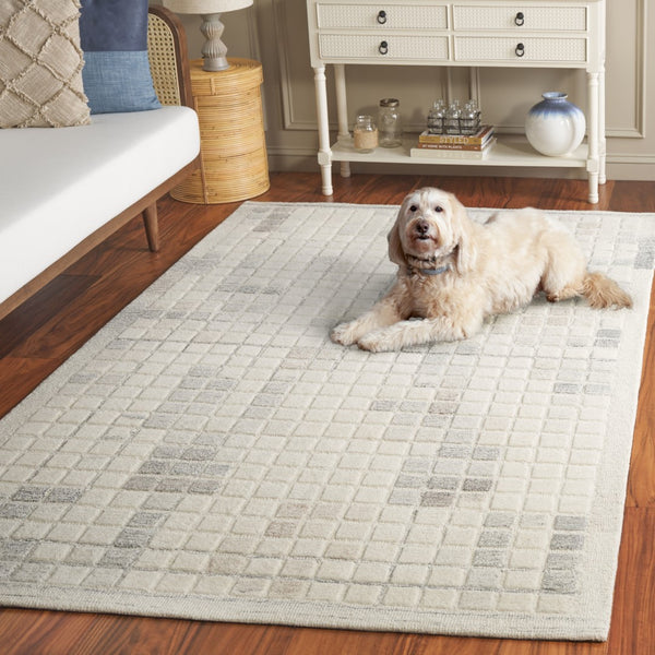 Safavieh Ebony 375a Ivory Grey Ivory ,Grey 80% Wool,20% Cotton Ebn375a-5