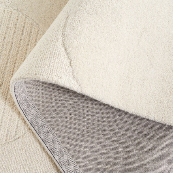 Safavieh Ebony 403 Hand Tufted Modern Rug EBN403A-8