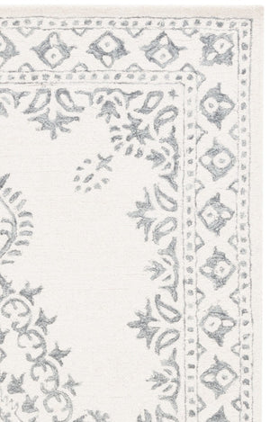 Safavieh Ebony Hand-Tufted Wool Blend Oriental Area Rug Ivory Grey Traditional Living Room EBN650A-6