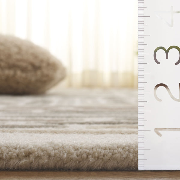 Safavieh Ebony Exquisite Hand-tufted Area Rug In Earthy Tones For Timeless Elegance And Comfort Beige ,Ivory 80% Wool 20% Cotton Ebn850b-28