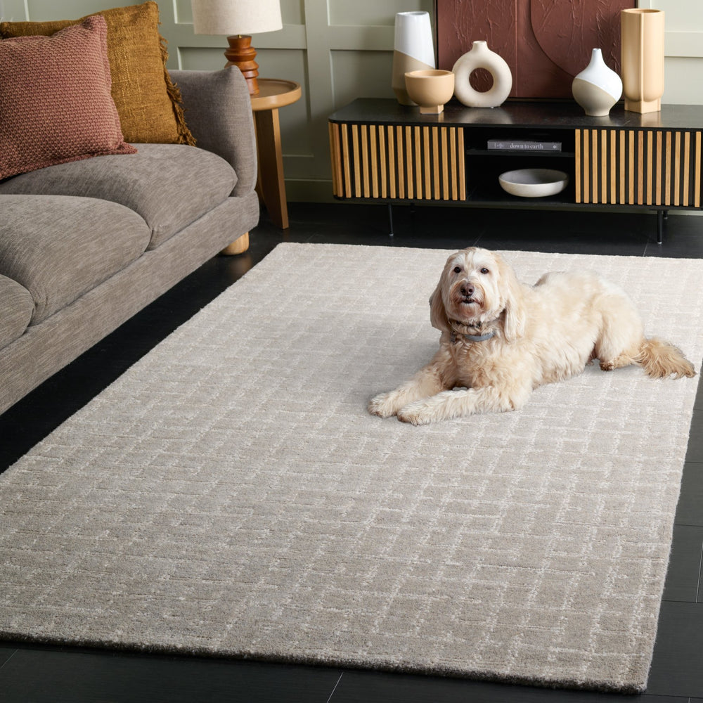 Safavieh Ebony Hand-Tufted Grey Wool-Cotton Rug — Low-Profile, Durable Softness For Living Rooms & Bedrooms 3'-0" x 5'-0" EBN855F-3