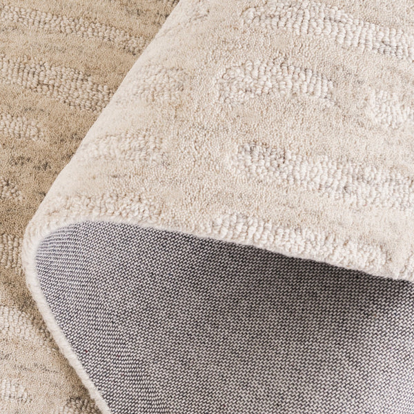 Safavieh Ebony Hand-tufted Area Rug: Luxurious Wool Blend, Modern Design For Stylish Home Décor And Comfort Beige 80% Wool,20% Cotton Ebn918b-6r