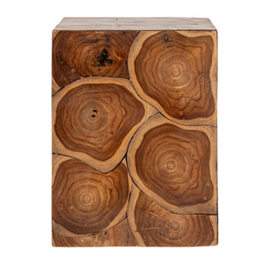 Rowena Interiors Square Solid Teak Root End Table Organic Carved Wood Accent for Living Room EC1776