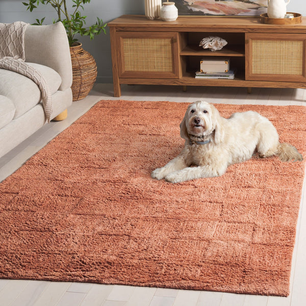 Safavieh Easy Care Hand-tufted Area Rug In Recycled Cotton For Eco-friendly Home Decor And Style Rust Recycled Cotton Ecr222p-29