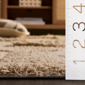 Safavieh Easy Care 225b Eco-friendly Medium Rectangle Area Rug - Stylish, Washable, And Durable Design Beige Recycled Cotton Ecr225b-5