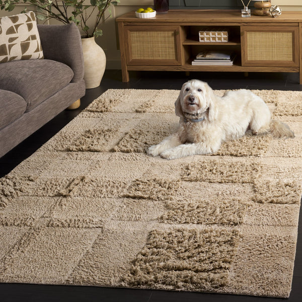 Safavieh Easy Care 225b Eco-friendly Medium Rectangle Area Rug - Stylish, Washable, And Durable Design Beige Recycled Cotton Ecr225b-5