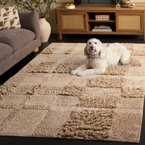 Safavieh Easy Care Handcrafted Area Rug - Sustainable Cotton, Washable, Luxurious Modern Style For Your Home Beige Recycled Cotton Ecr225b-6