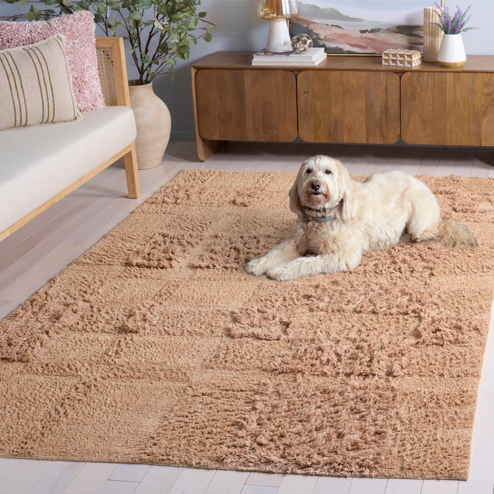 Safavieh Easy Care Handcrafted Area Rug - Sustainable Cotton, Washable, Luxurious Modern Style For Your Home Orange Recycled Cotton Ecr225p-6