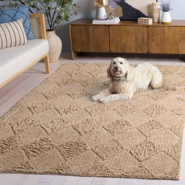 Safavieh Easy Care 226b Area Rug - Stylish, Washable Cotton Design For Comfort And Durability In Your Home Beige Recycled Cotton Ecr226b-6
