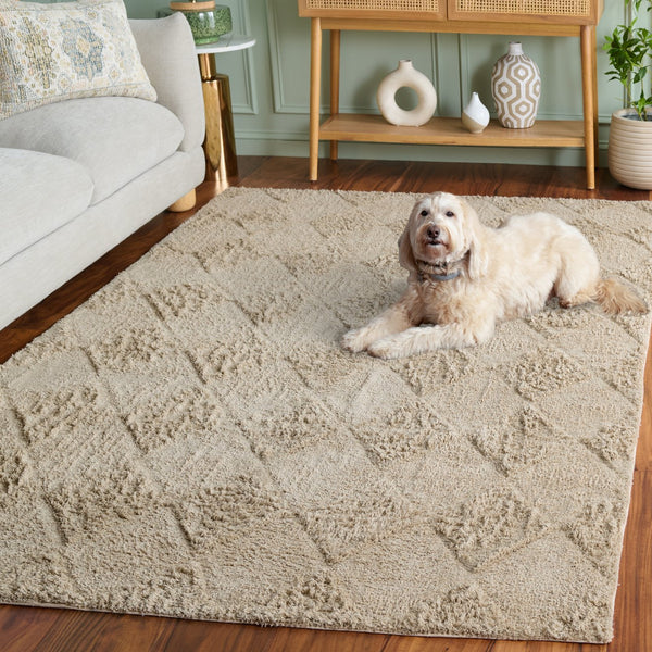 Safavieh Easy Modern Area Rug - Chic 5' X 8' Rectangle Design, Washable, Sustainable Cotton, Soft Comfort Grey Recycled Cotton Ecr226f-5