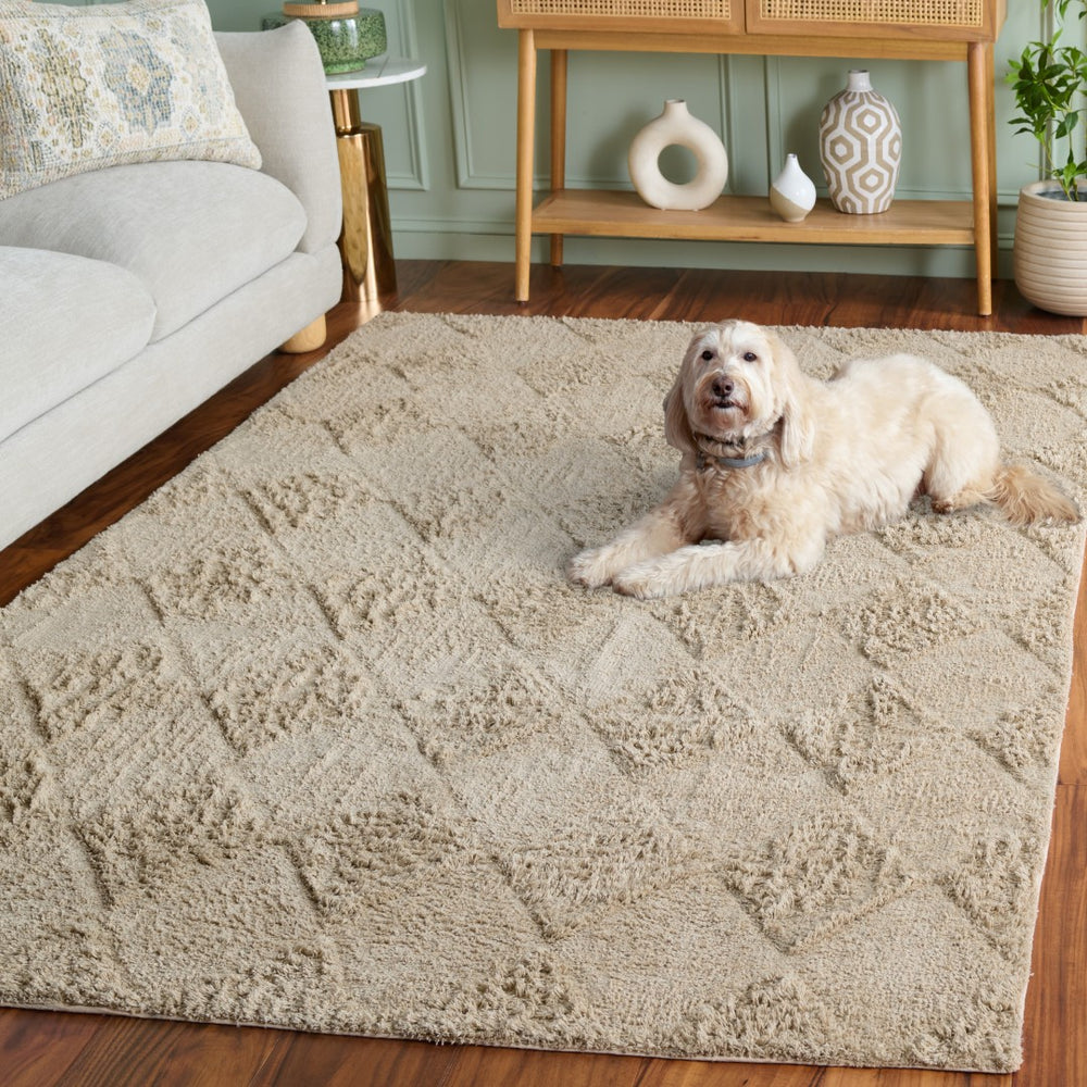 Safavieh Easy Care 226b Area Rug - Stylish, Washable Cotton Design For Comfort And Durability In Your Home Grey Recycled Cotton Ecr226f-4