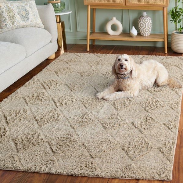 Safavieh Easy Care 226b Area Rug - Stylish, Washable Cotton Design For Comfort And Durability In Your Home Grey Recycled Cotton Ecr226f-4